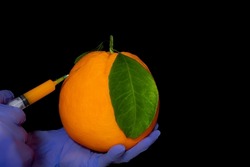 Orange with inserted syringe . Grapefruit symbolizes the fear of injections. Fruit contamination with chemicals. Genetic modification of food