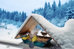 Birds eat food from a bird feeder covered in snow. 
