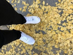 Nike Airforce One above the scattered autumn leaves