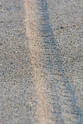Bicycle tire tracks along sandy beach in late afternoon sun. Selective focus, copy space. Low light angle.