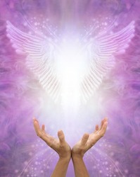 Asking for Angel Healing Message Background - Female hands cupped upwards towards beautiful Angel wings on an ethereal pink purple background with space for text
