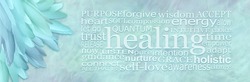 Healing Words Spiritual Wall Art Banner - random pile of beautiful jade green feathers on left side and a healing word cloud on right against pale jade green ethereal background

