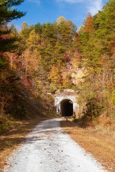 A Tunnel On A Trail In The Woods