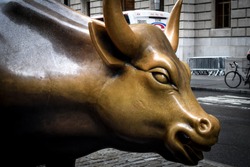 Wall Street bull in New York City, USA 