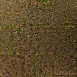 Moss overgrown brick wall texture