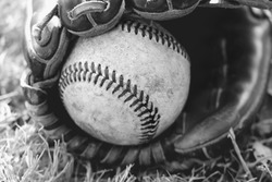 Baseball image in black and white shows ball caught in leather glove closeup.  Sports recreation equipment for graphic or print.