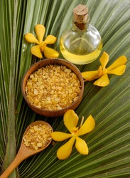 Green palm leaf background with yellow orchid,salt in bowl, spoon,oil