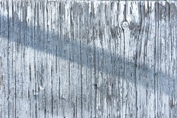 Rough surface texture of old wooden board with scratches painted in white color. Rustic fence with natural pattern as background closeup