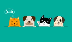 Funny dog and cute cat best friends. Happy friendship day. Vector illustration.