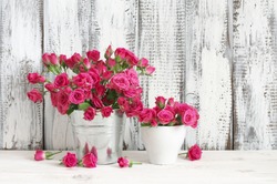 Bouquet of crimson spray roses in galvanized bucket on white wooden table against shabby wall. 