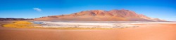 Salar de Aguas Calientes (Aguas Calientes Salt Lake) in the Altiplano (high Andean plateau) at an altitude of 4200m, Atacama desert, Chile, South America 