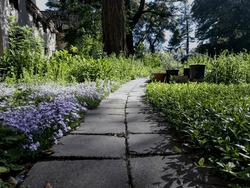 cobble stone wild garden pathway 