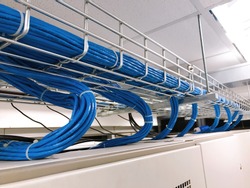 Large group of UTP cables, Ethernet cables in cable tray.