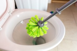 Cleaning the toilet, using a toilet brush, cleaning. Home cleaning and toilet sanitation.