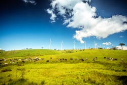 Windmills at Ambewela New Zealand farm on a beautiful sunny day in Sri Lanka