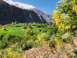 Chitral beautifull place in pakistan mountain beautifull trees and mountain hills