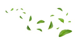 Green Floating Leaves Flying Leaves Green Leaf Dancing, Air Purifier Atmosphere Simple Main Picture