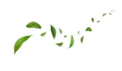 Green Floating Leaves Flying Leaves Green Leaf Dancing, Air Purifier Atmosphere Simple Main Picture	