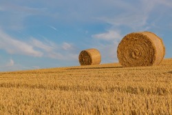 A field with haybales after harvesting, in late summer