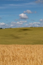 Farmland in Sussex on a suny summer's day