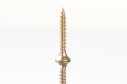 Gold colored screw close up standing on a mirror surface with reflection. Isolated on white, clipping path included