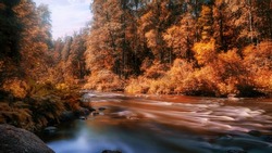 Bright autumn landscape with river in the forest and water flow. Golden forest and flowig water in sunlight. HDR image, long exposure