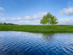 Natural background. Landscape. Nature. Three deciduous trees in a field. Green grass, lawn. Reflection in the water. Pond, lake. Ripples on the water. A sunny summer day. Sky with clouds.