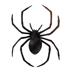 Fake rubber spider toy isolated over a white background. black spider toy isolated on white background. Comic horror for Halloween.