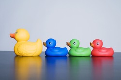 A row of various colored rubber duck toys.