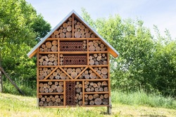 Wooden insect hotel, habitant for bugs and bees, rescue house, environment and ecology discussion, protect wildlife