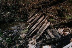 Dark and darkened autumn forest - damaged old wooden footbridge