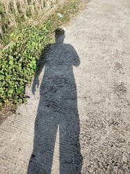 Shadow of a grown man on a cement road