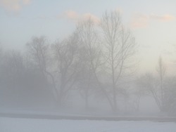 Foggy Snowy Wintry Evening with trees silhouetted against a blue sky