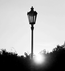 Old cast iron lamp in big city park.