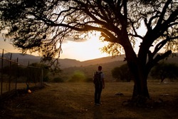 Silhouette of a man watching the sunset in a desert area under the tree. 
