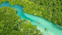 A bird's-eye view of a woman kayaking alone in a mangrove forest on the Andaman coast on her vacation at Phi Phi Island, Thailand