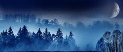 moon fog and a forest