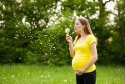 young pregnant woman blowing dandelion seeds on a meadow