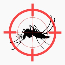 Mosquito Silhouette - Free Stock Photo by mohamed hassan on Stockvault.net