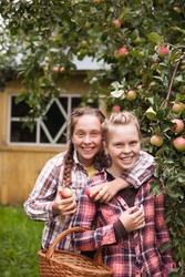  Portrait of two twin sisters in   apple orchard with   basket.
