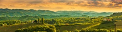 Panorama of South Styria Vineyards landscape near Austria - Slovenia border. View at Vineyard fields in sunset in spring. Tourist destination.