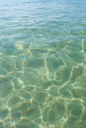 Blurred background. Sea bottom. Clear water.