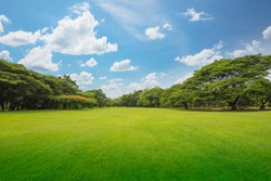 Green grass green trees in beautiful park white Clouds and blue sky in noon.
Beautiful park scene in public park with green grass field, green tree plant and a party cloudy blue sky.