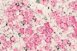 Thriving of full bloom flowerscape, floral visual of live flowers wall, beautiful roses background