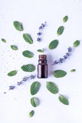 View above of glass bottle with products ingredients - flat lay lavender flowers and fresh mint leaves, toned image