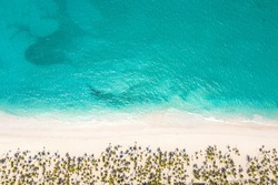 Bounty and prestine sandy shore with coconut palm trees, caribbean sea washes tropical coastline. Arenda Gorda beach. Dominican Republic. Aerial top view