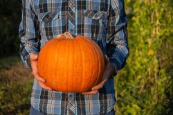 guy holding a pumpkin in her hands close-up. choose a pumpkin for Halloween in the garden.