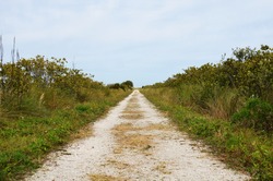 Walking trail at the wildlife refuge near Cape Canaveral National Seashore in Florida, USA