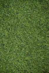Top view of artificial green grass texture. Fake Grass used on sports fields for soccer, baseball, golf, football, playground, and garden. Synthetic grass for nature, sport, or abstract background