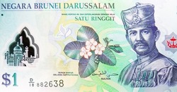 1 RinggitDollar polymer banknote, Bank of Brunei Darussalam, closeup bill fragment shows Simpor Bini (Dillenia suffruticosa), Sultan Hassan al-Bolkiah in military uniform, Coat of Arms, issued 2013